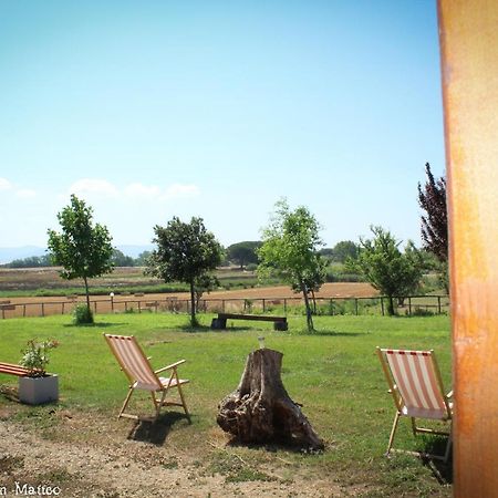 Agriturismo San Matteo 塔尔奎尼亚 外观 照片