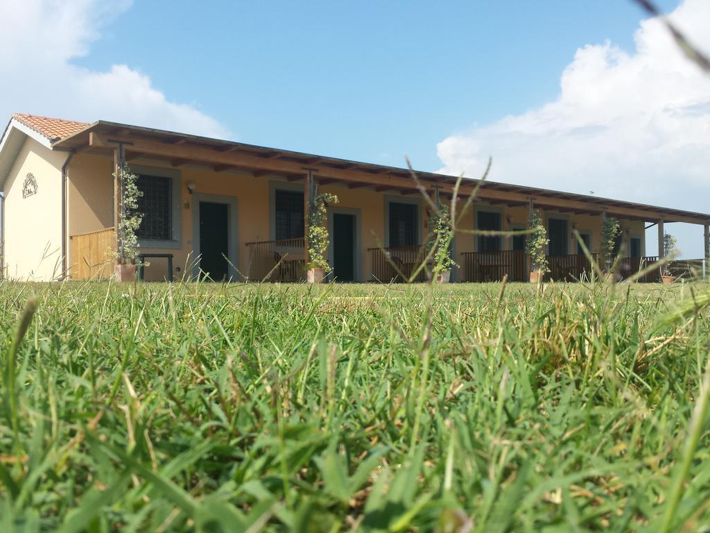 Agriturismo San Matteo 塔尔奎尼亚 客房 照片