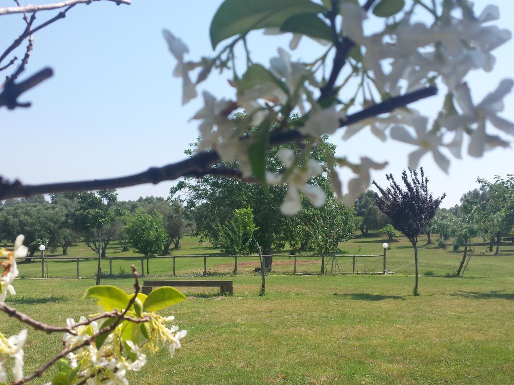 Agriturismo San Matteo 塔尔奎尼亚 客房 照片