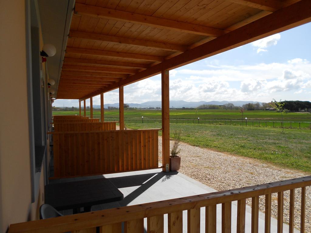 Agriturismo San Matteo 塔尔奎尼亚 客房 照片
