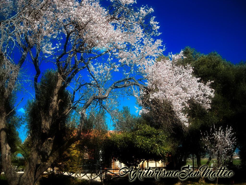 Agriturismo San Matteo 塔尔奎尼亚 外观 照片