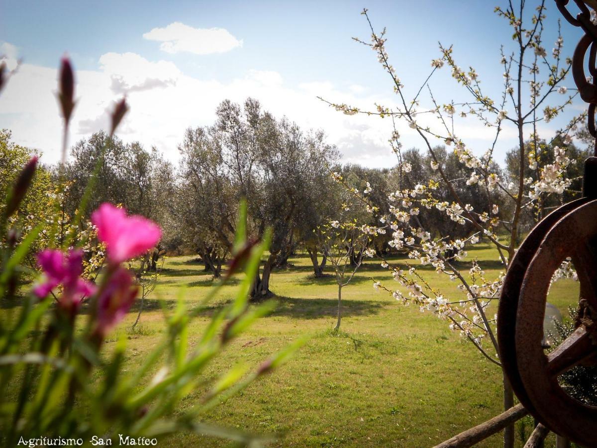Agriturismo San Matteo 塔尔奎尼亚 外观 照片