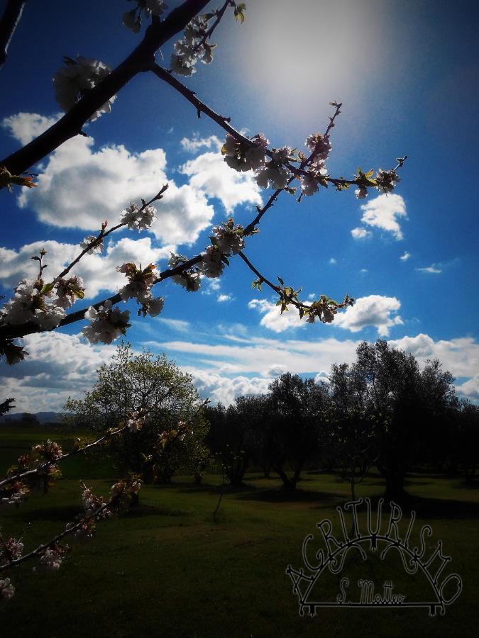 Agriturismo San Matteo 塔尔奎尼亚 外观 照片