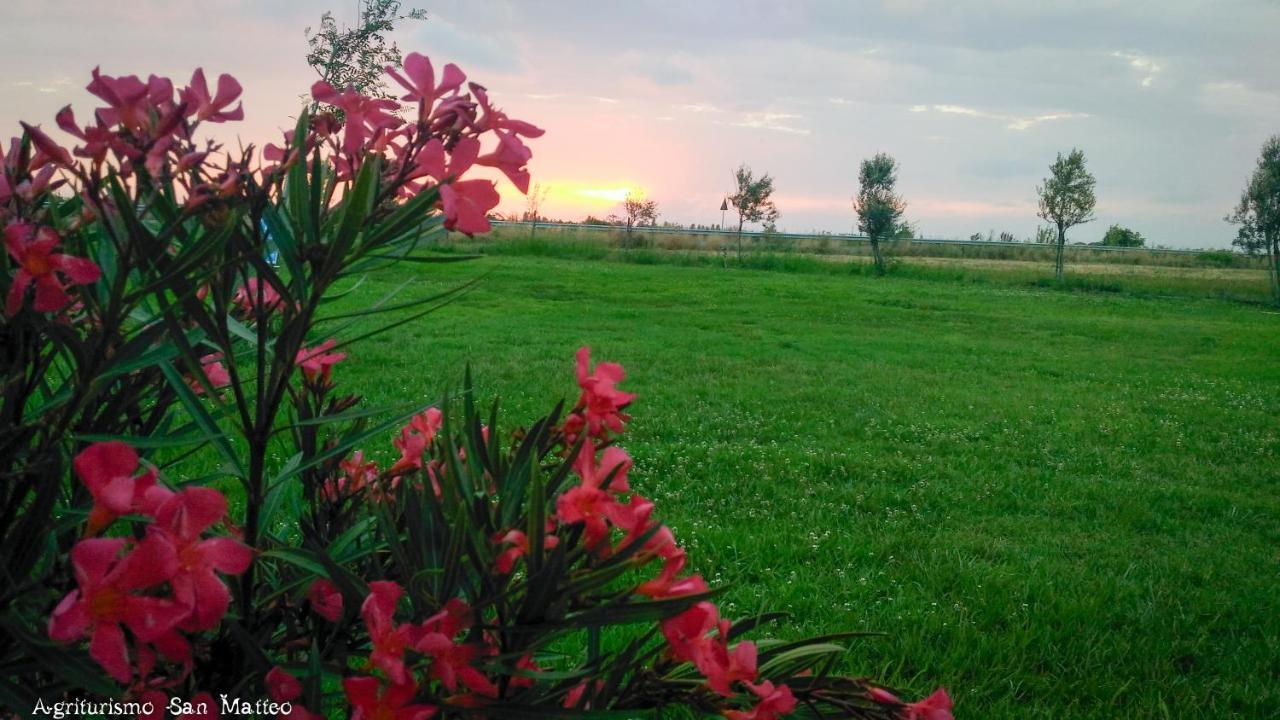 Agriturismo San Matteo 塔尔奎尼亚 外观 照片
